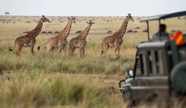 Serengeti National Park