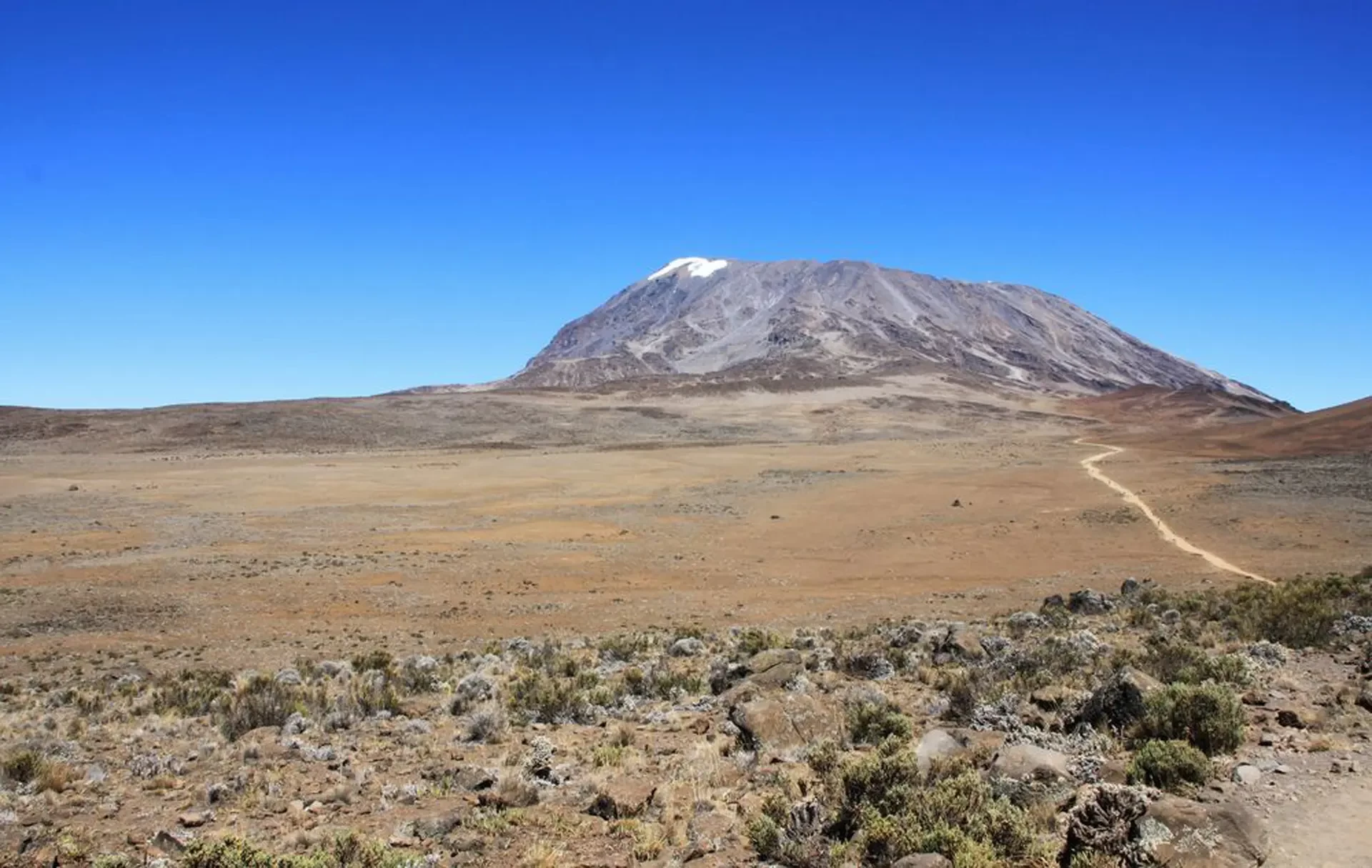Serengeti Migration Safari