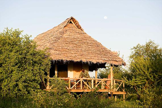 Tarangire Safari Lodge